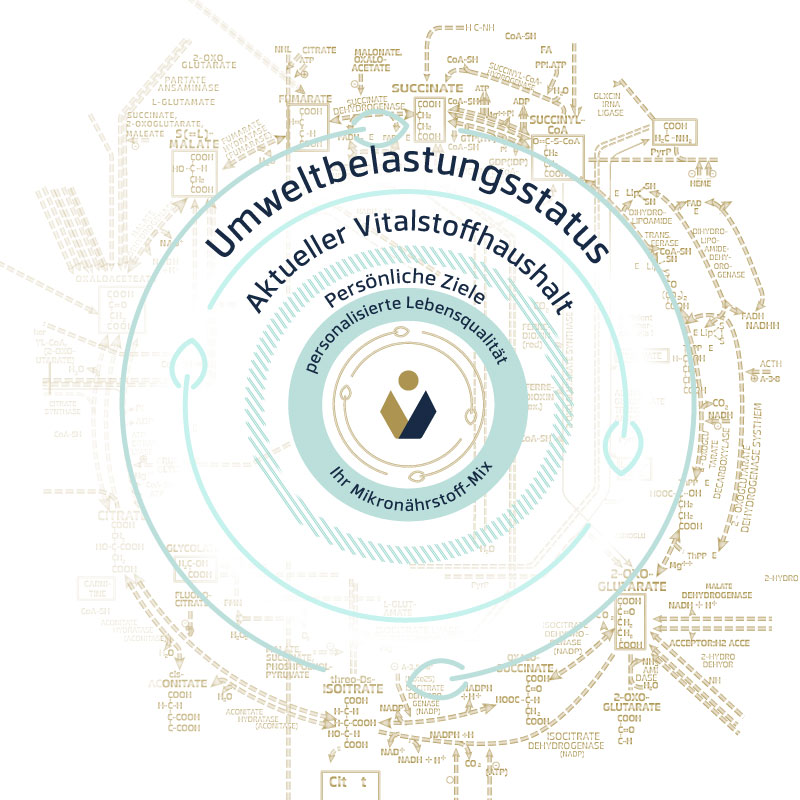 Humdynamix GmbH Grafik Umweltbelastungen